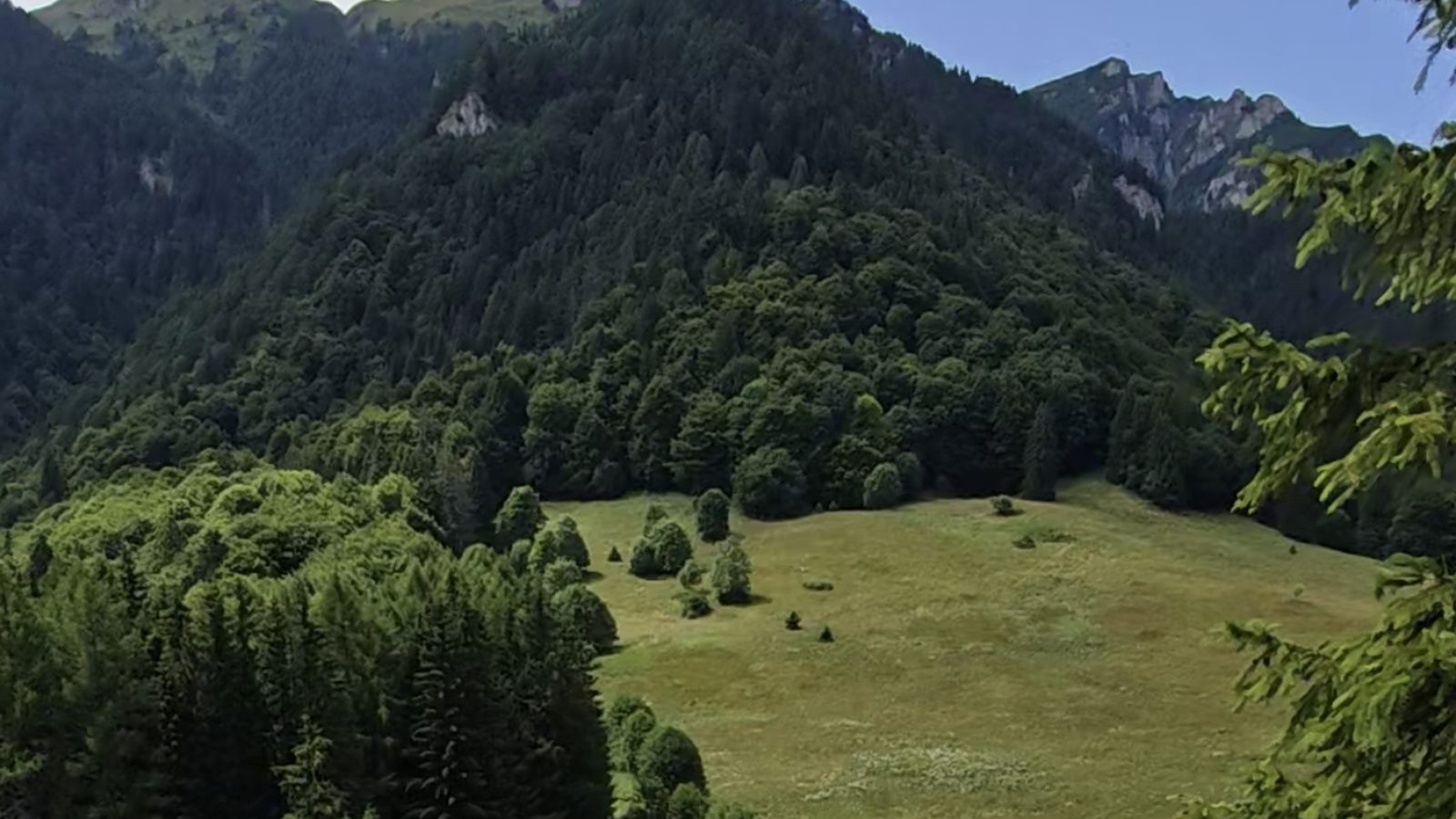 Grup de ATV-uri într-o poiană montană din Munții Bucegi, Sinaia