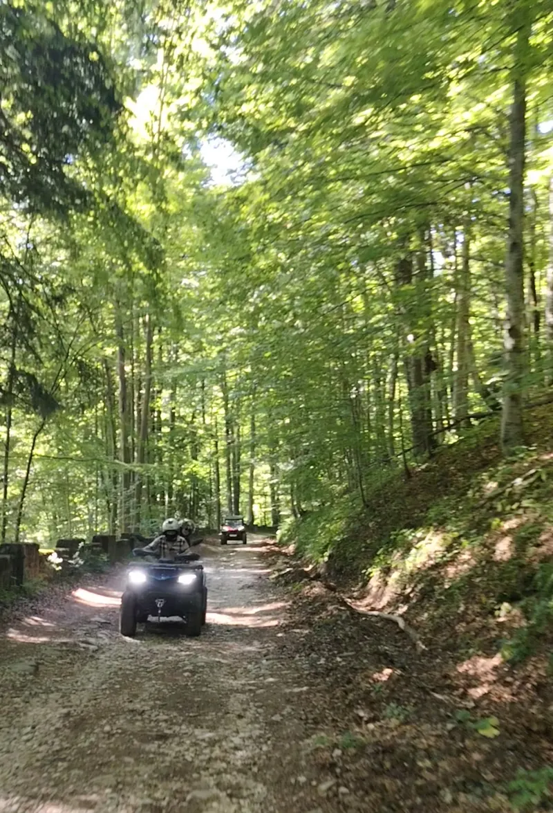 ATV on the Forest Road through the forest, group of tourists in the Bucegi