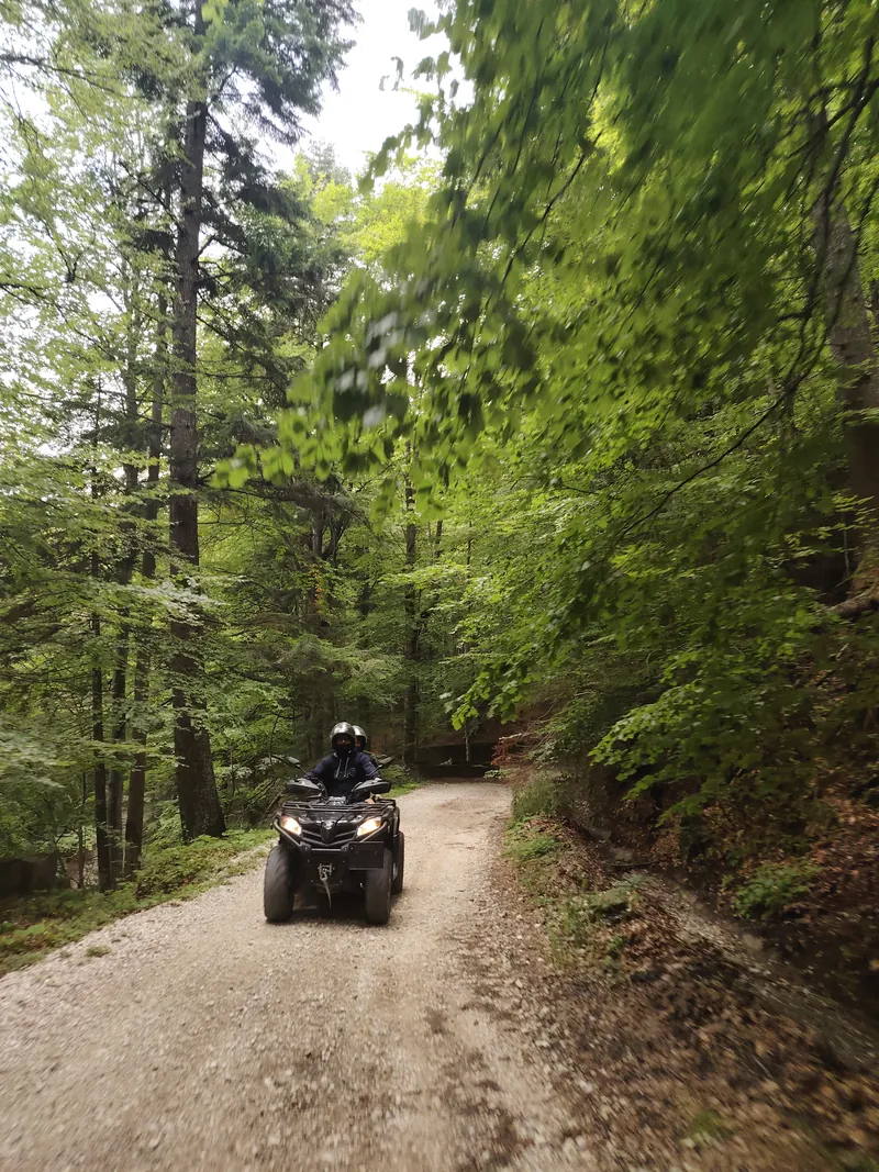 ATV on the forest road along Calea Codrului, the first leg of the trail to the Ialomița Cave