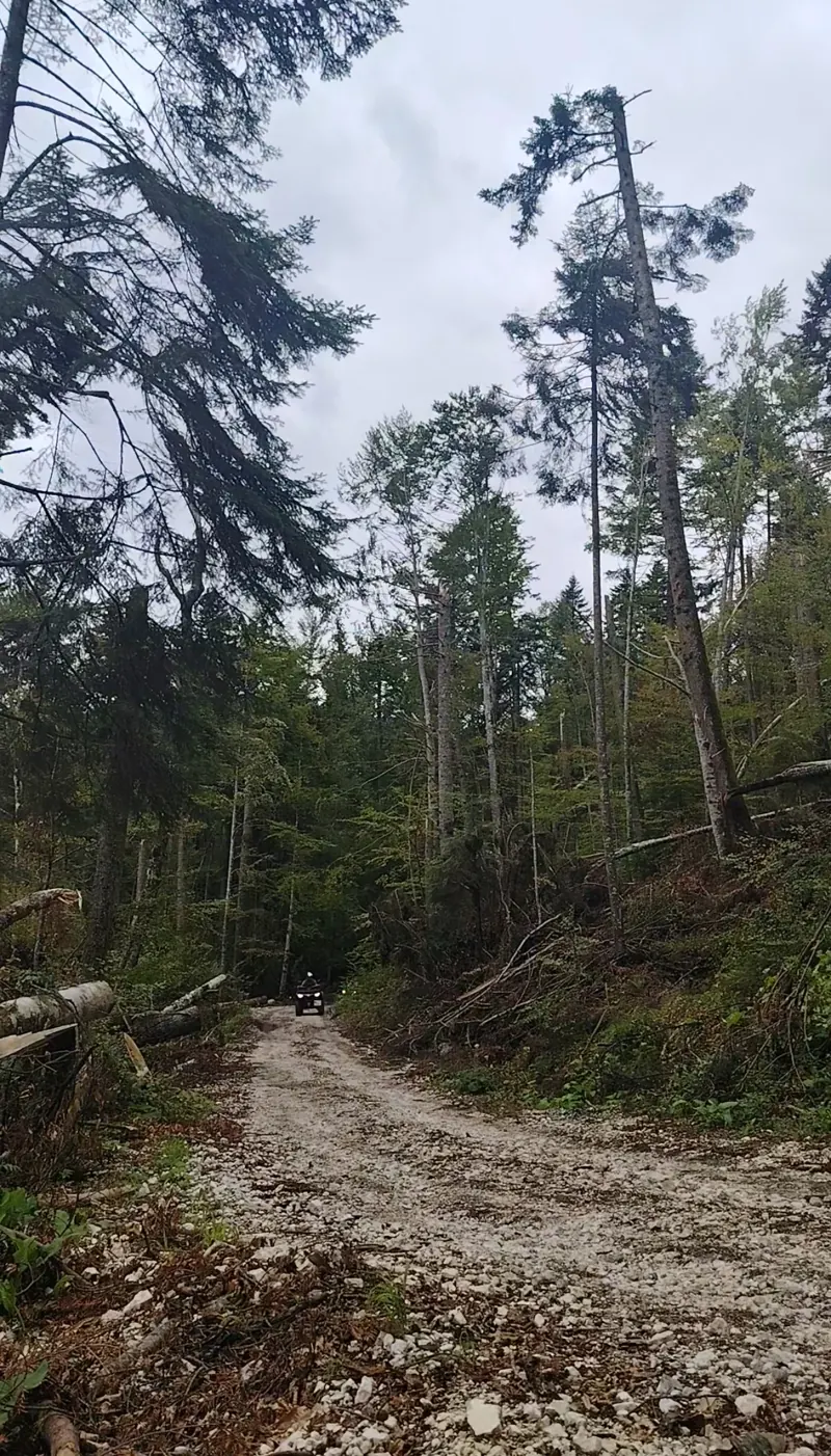 ATV on the long forest road of the combined trail, Bucegi Mountains Sinaia