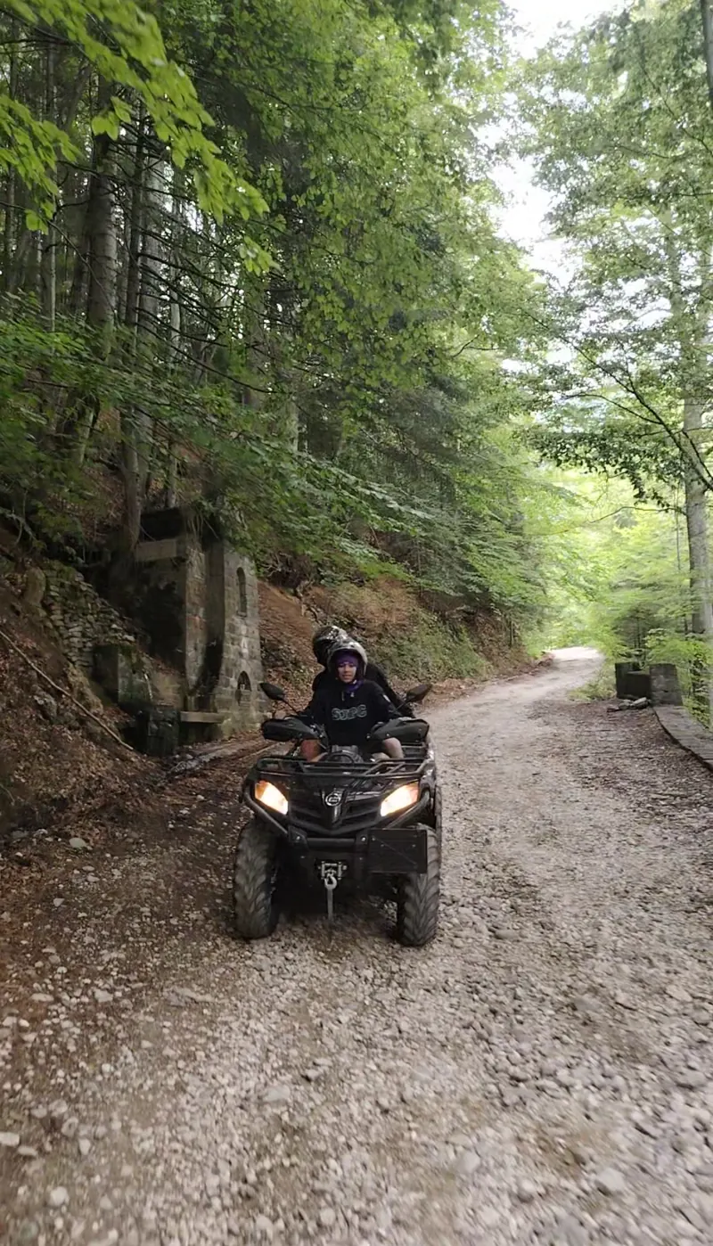 ATV on the forest road of the Royal Sheepfold and Forest Path trail, Sinaia