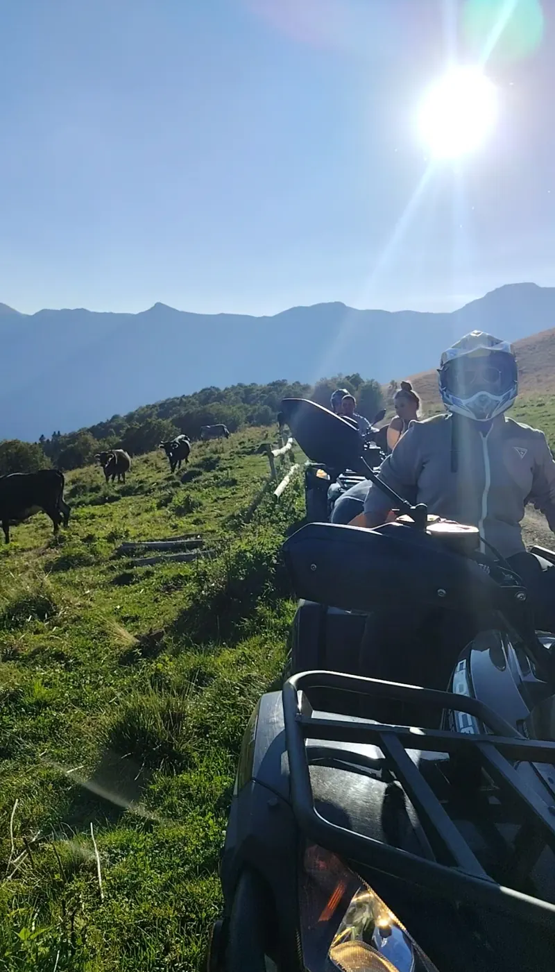 ATV on an alpine pasture with cattle in the Baiu Mountains, view over the Bucegi