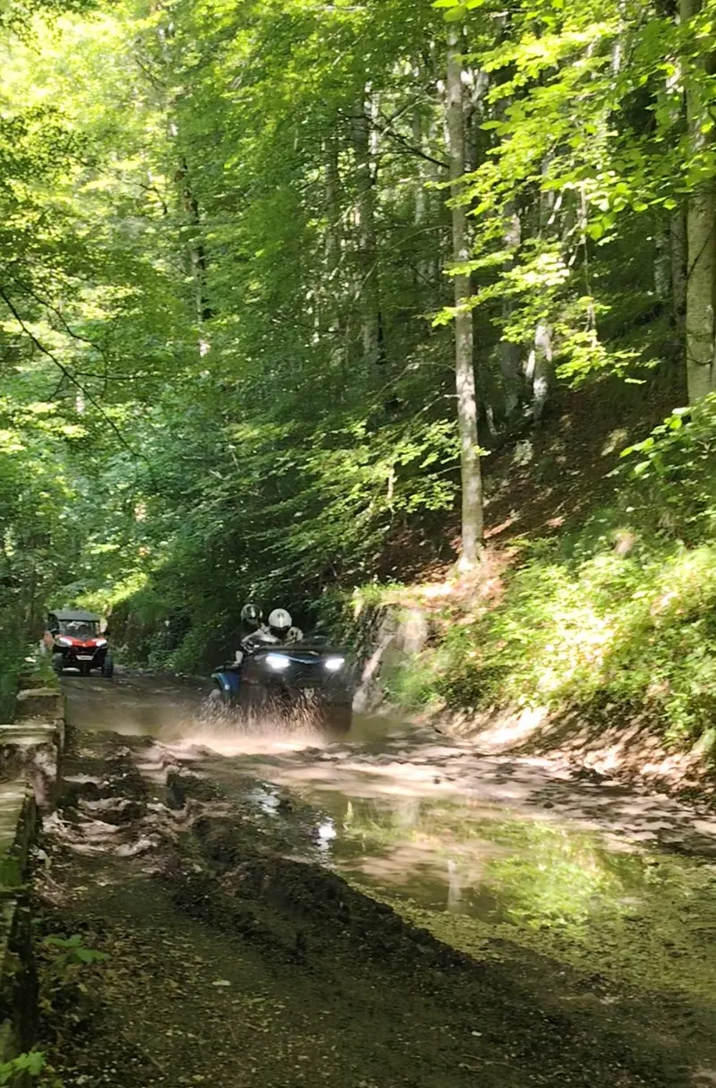 Cascadă în pădure pe traseul Stâna Regală, Munții Bucegi Sinaia
