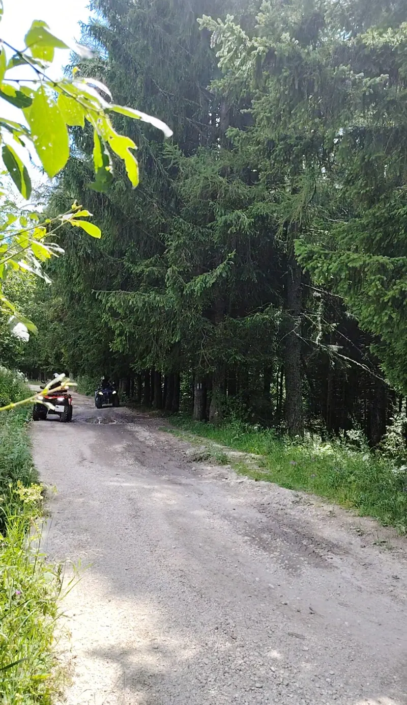 Line of ATVs on the forest road along Calea Codrului, Bucegi Mountains