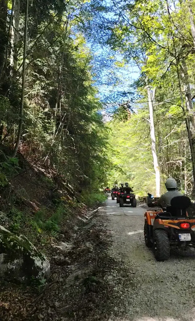 Column of ATVs on the Forest Road seen from behind, Sinaia