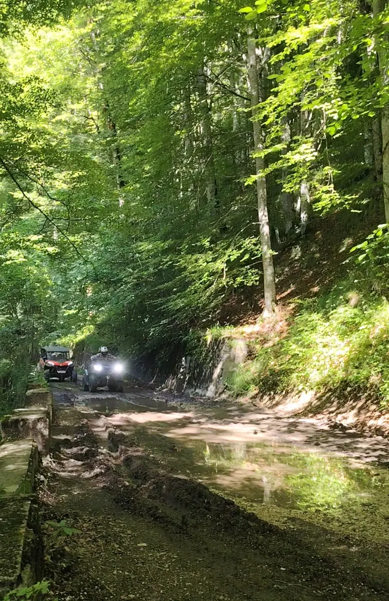 Column of ATVs on the Royal Sheepfold trail, forest road with water in the Bucegi Mountains