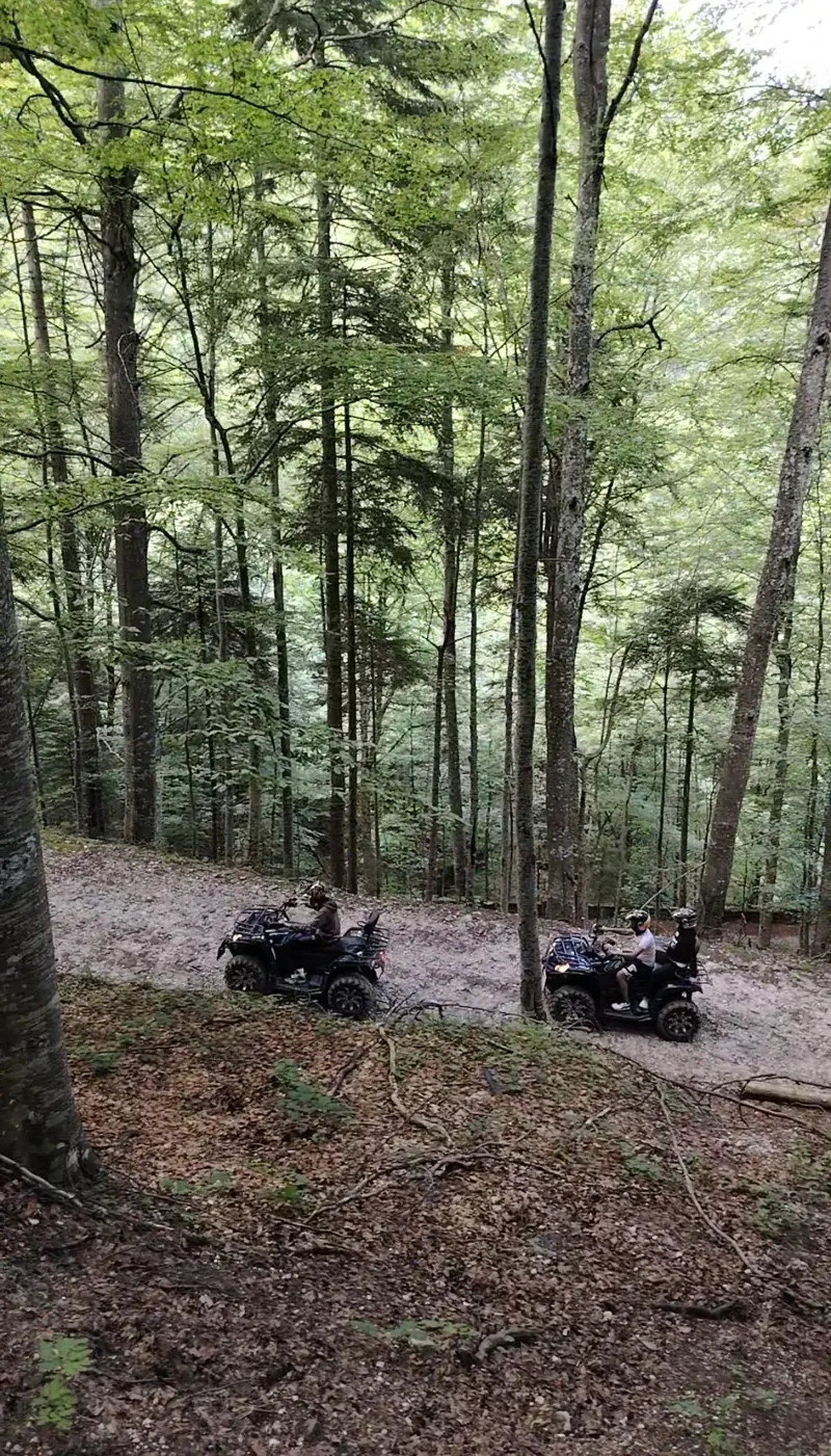 Two ATVs in the beech forest on the Cota 1400 trail, Bucegi Mountains