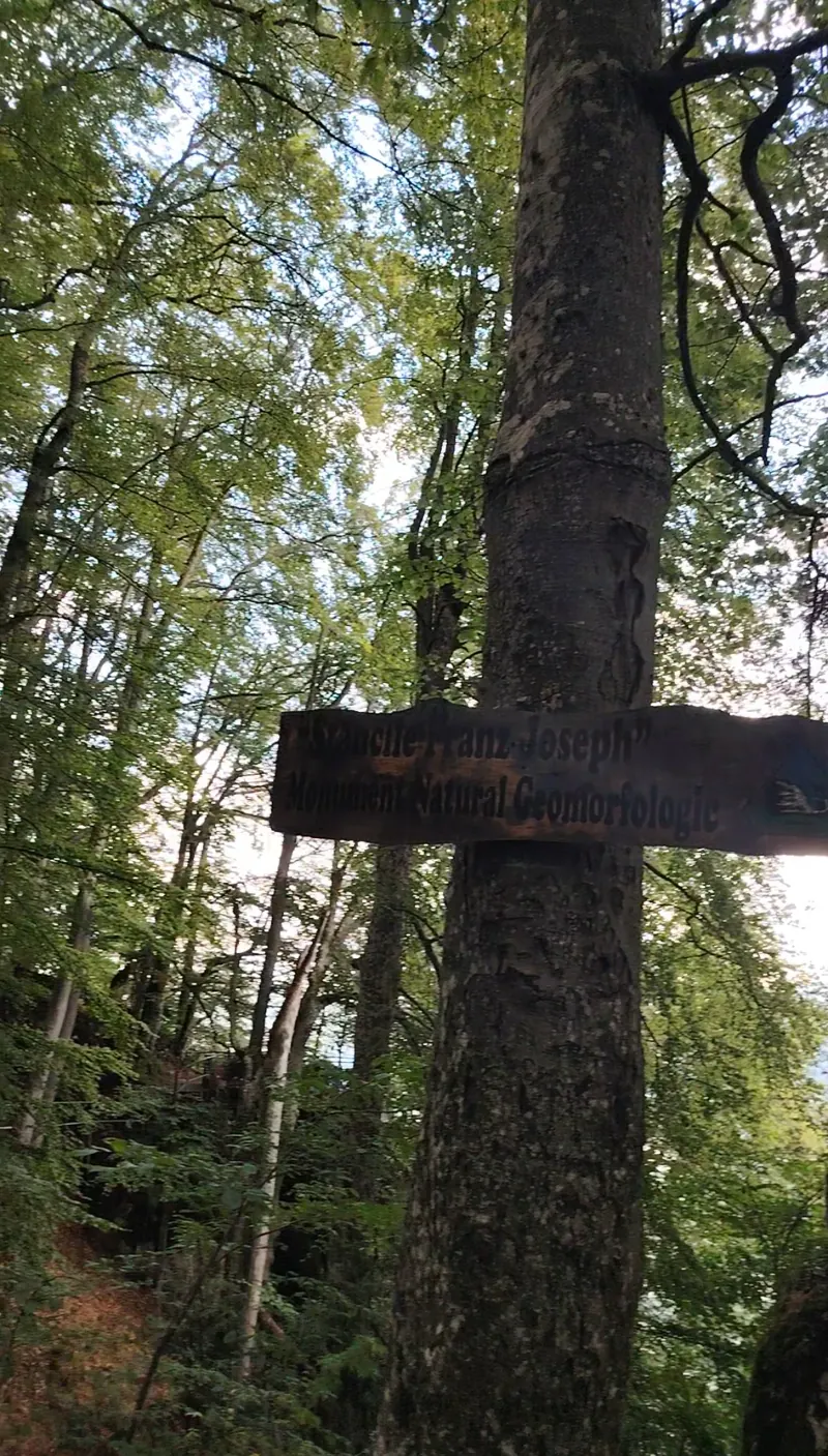 Signpost to the Franz Joseph Cliffs, natural monument in the Bucegi Mountains