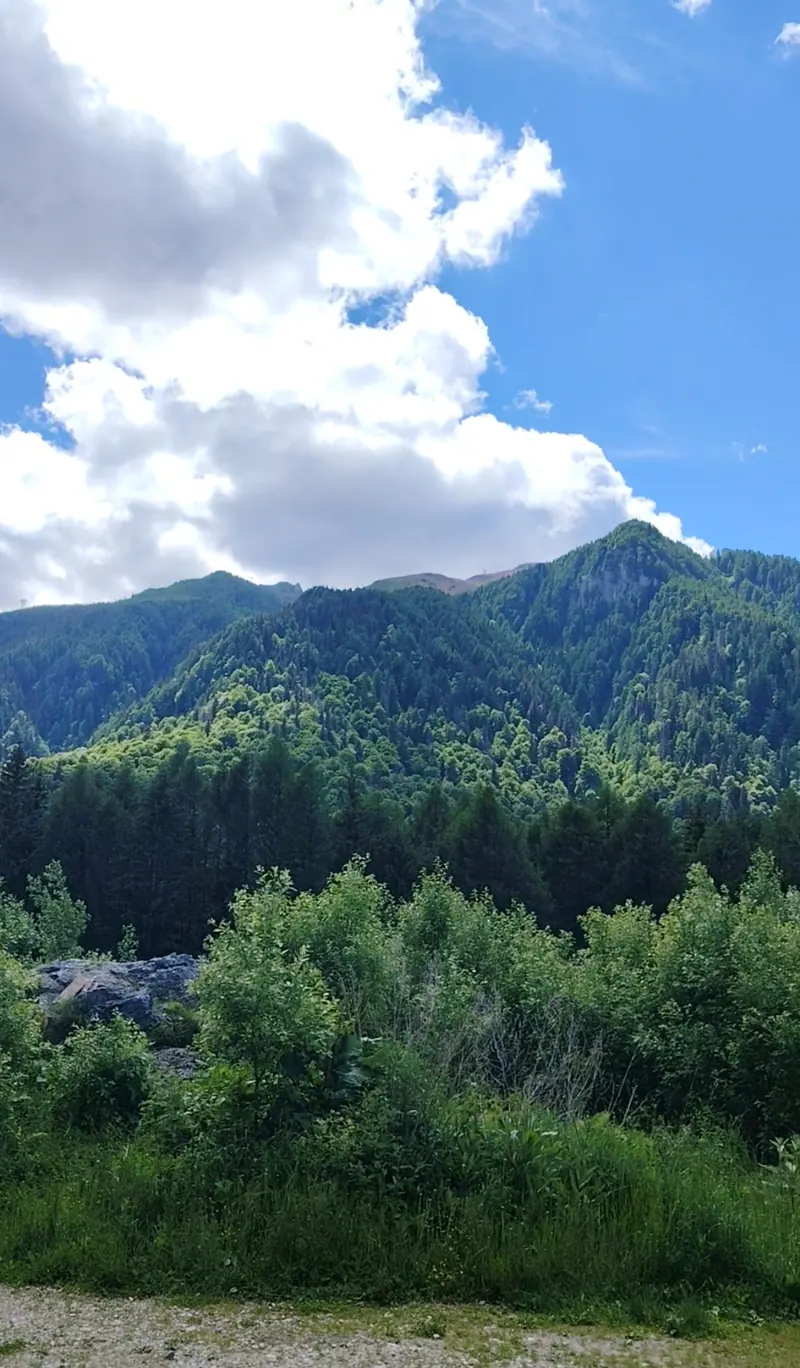 Panoramă montană spre Poiana Stânei Regale, Munții Bucegi Sinaia