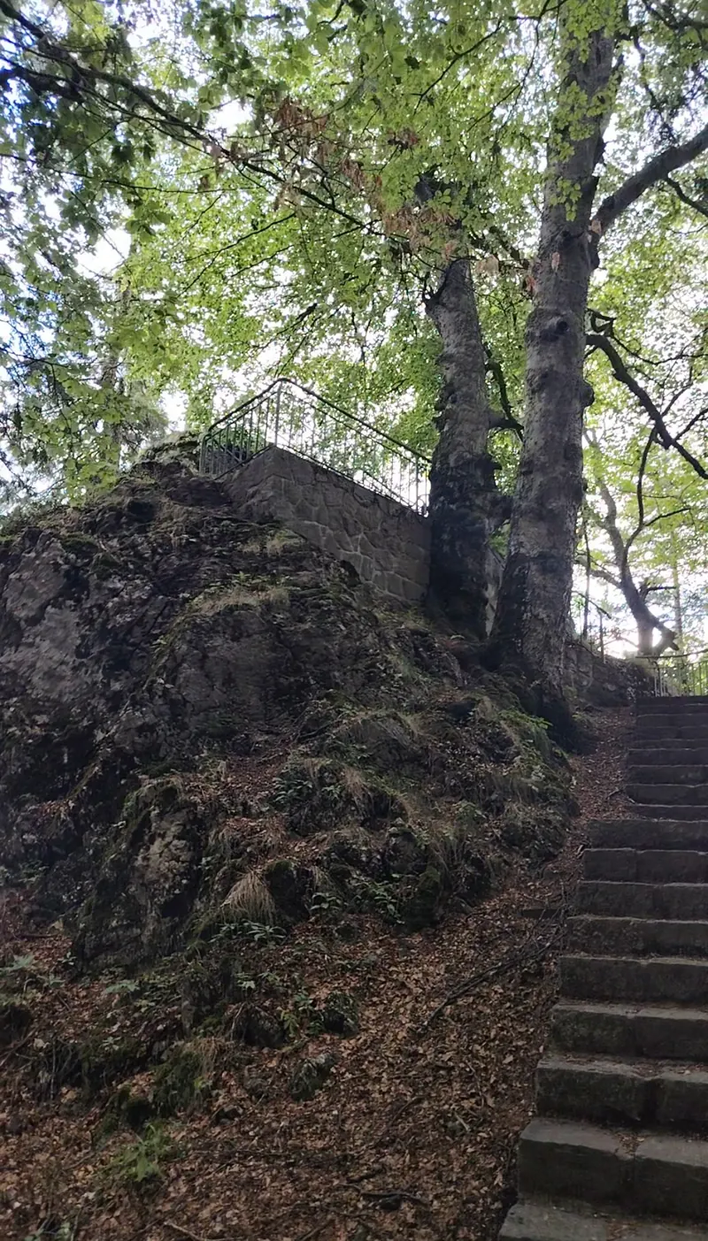 Stone steps to the Franz Joseph Cliffs viewpoint, Sinaia