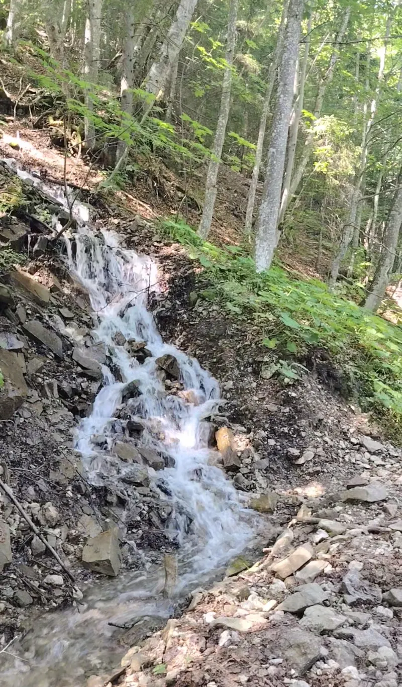 Rock formation on the Royal Sheepfold trail, Bucegi Mountains