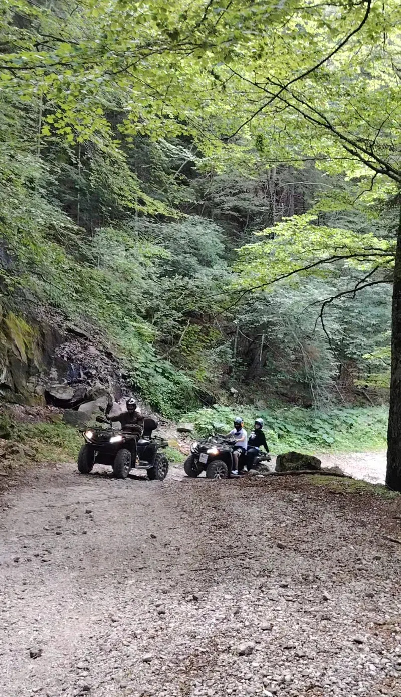 Grup de turiști cu ATV-uri pe traseul Cota 1400 în pădurea din Sinaia